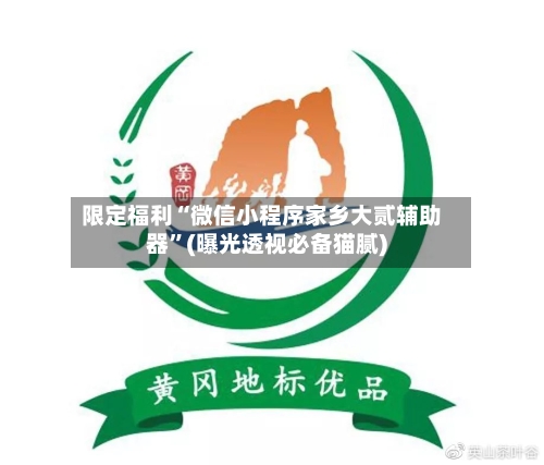 限定福利“微信小程序家乡大贰辅助器”(曝光透视必备猫腻)-第3张图片