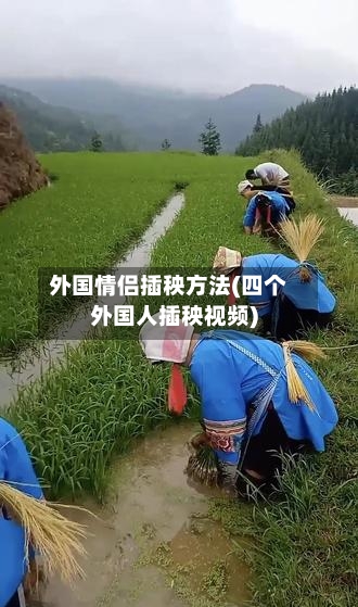 外国情侣插秧方法(四个外国人插秧视频)-第1张图片