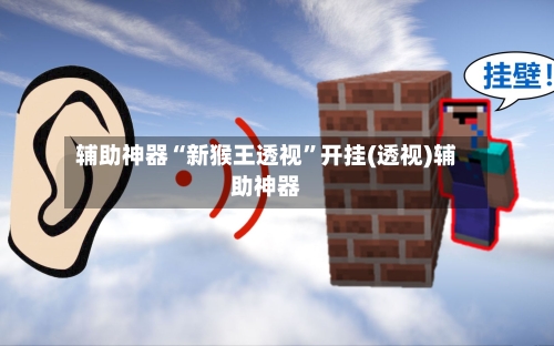 辅助神器“新猴王透视”开挂(透视)辅助神器-第1张图片