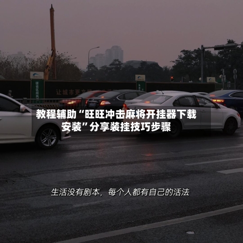 教程辅助“旺旺冲击麻将开挂器下载安装”分享装挂技巧步骤-第2张图片