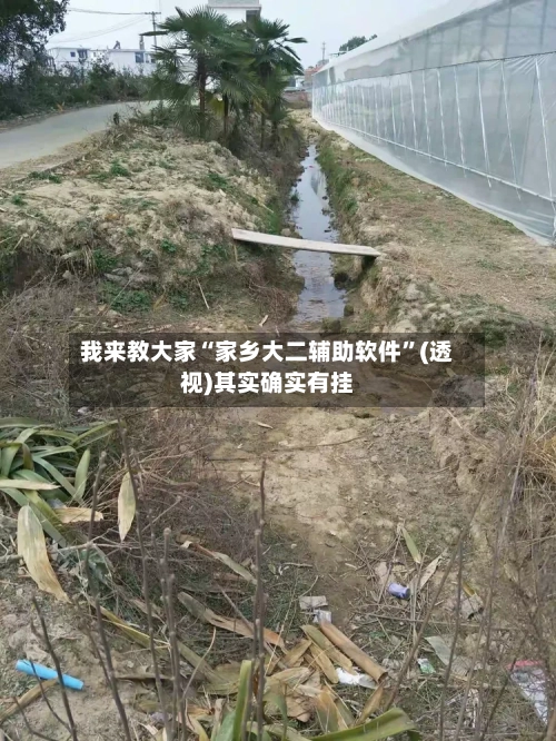 我来教大家“家乡大二辅助软件	”(透视)其实确实有挂-第2张图片