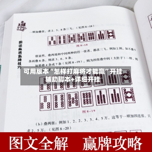 可用版本“怎样打麻将才能赢”开挂辅助脚本+详细开挂-第2张图片