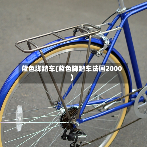 蓝色脚踏车(蓝色脚踏车法国2000)-第1张图片
