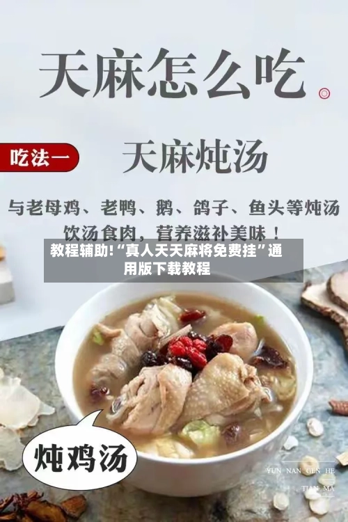 教程辅助!“真人天天麻将免费挂	”通用版下载教程-第1张图片