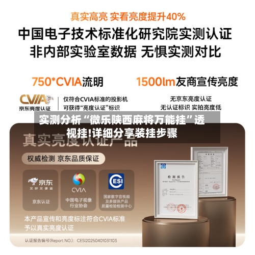 实测分析“微乐陕西麻将万能挂	”透视挂!详细分享装挂步骤-第1张图片