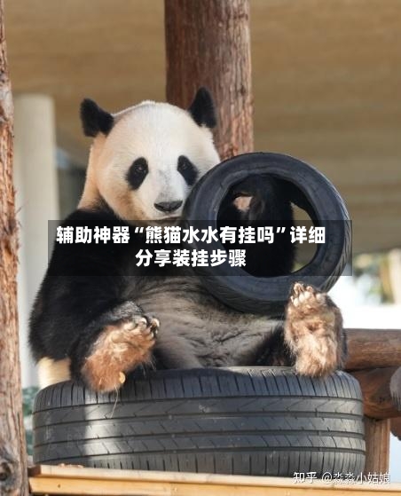 辅助神器“熊猫水水有挂吗”详细分享装挂步骤-第1张图片