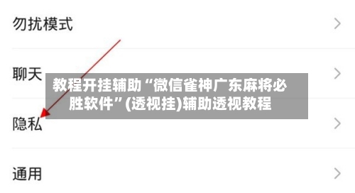 教程开挂辅助“微信雀神广东麻将必胜软件”(透视挂)辅助透视教程-第1张图片