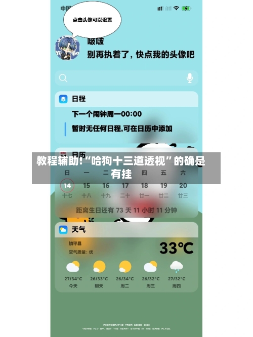 教程辅助!“哈狗十三道透视	”的确是有挂-第1张图片
