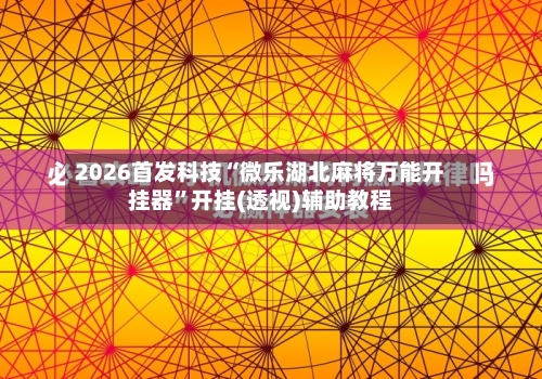 2026首发科技“微乐湖北麻将万能开挂器”开挂(透视)辅助教程-第1张图片