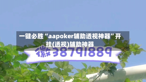一键必胜“aapoker辅助透视神器	”开挂(透视)辅助神器-第1张图片