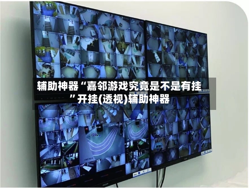 辅助神器“嘉邻游戏究竟是不是有挂”开挂(透视)辅助神器-第1张图片