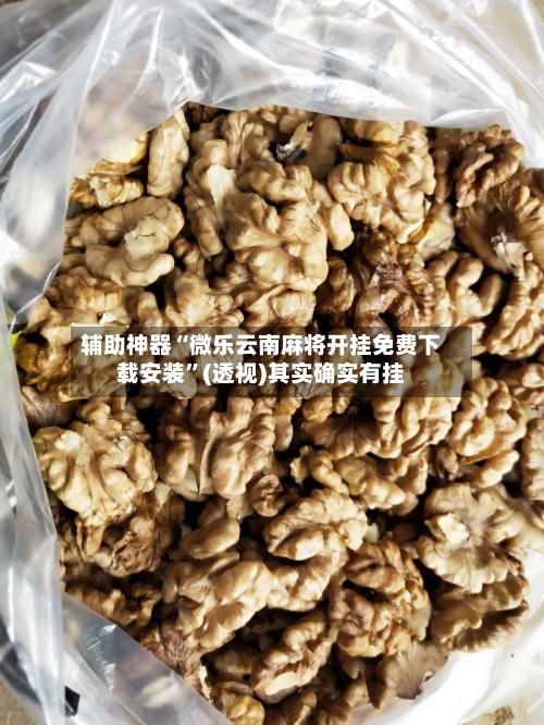 辅助神器“微乐云南麻将开挂免费下载安装”(透视)其实确实有挂-第1张图片