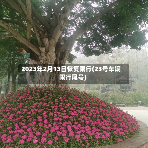 2023年2月13日恢复限行(23号车辆限行尾号)-第1张图片