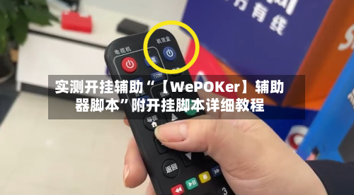 实测开挂辅助“【WePOKer】辅助器脚本”附开挂脚本详细教程-第1张图片