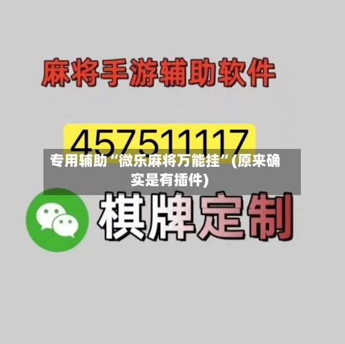 专用辅助“微乐麻将万能挂”(原来确实是有插件)-第1张图片