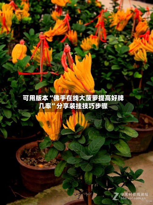 可用版本“佛手在线大菠萝提高好牌几率	”分享装挂技巧步骤-第1张图片