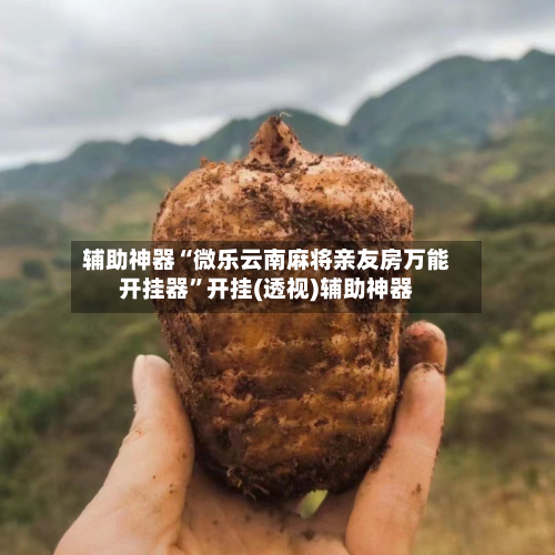 辅助神器“微乐云南麻将亲友房万能开挂器”开挂(透视)辅助神器-第1张图片