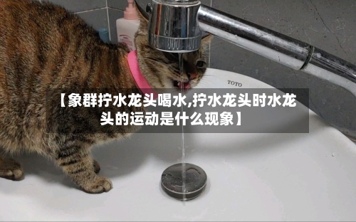 【象群拧水龙头喝水,拧水龙头时水龙头的运动是什么现象】-第1张图片