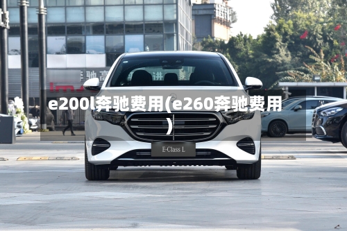 e200l奔驰费用(e260奔驰费用)-第1张图片