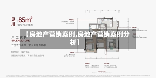 【房地产营销案例,房地产营销案例分析】-第1张图片