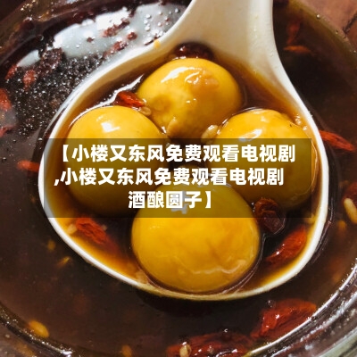 【小楼又东风免费观看电视剧,小楼又东风免费观看电视剧酒酿圆子】-第1张图片