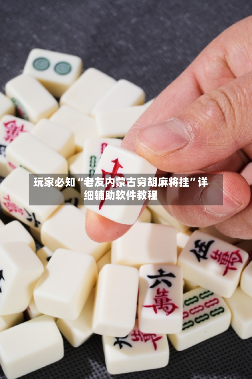 玩家必知“老友内蒙古穷胡麻将挂”详细辅助软件教程-第1张图片