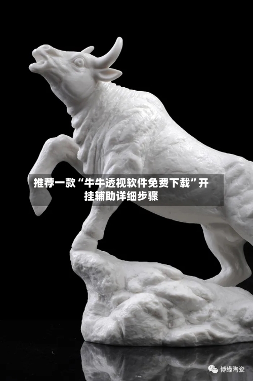 推荐一款“牛牛透视软件免费下载”开挂辅助详细步骤-第1张图片