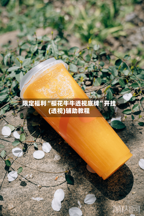 限定福利“樱花牛牛透视底牌	”开挂(透视)辅助教程-第1张图片