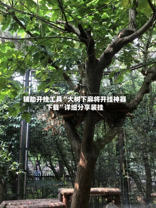 辅助开挂工具“大树下麻将开挂神器下载	”详细分享装挂-第1张图片