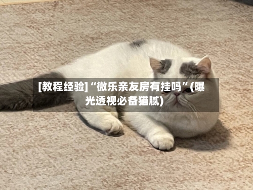 [教程经验]“微乐亲友房有挂吗”(曝光透视必备猫腻)-第1张图片