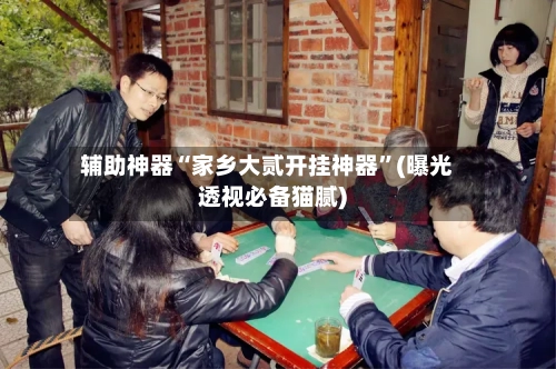 辅助神器“家乡大贰开挂神器	”(曝光透视必备猫腻)-第1张图片