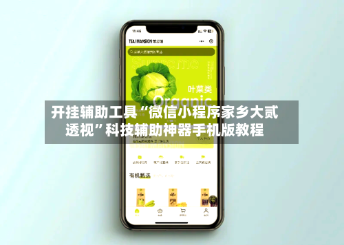 开挂辅助工具“微信小程序家乡大贰透视”科技辅助神器手机版教程-第1张图片