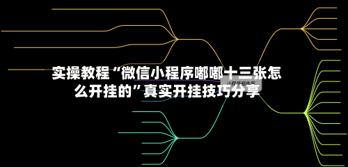 实操教程“微信小程序嘟嘟十三张怎么开挂的”真实开挂技巧分享-第1张图片