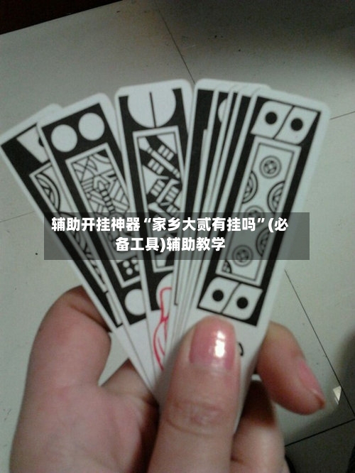 辅助开挂神器“家乡大贰有挂吗	”(必备工具)辅助教学-第1张图片