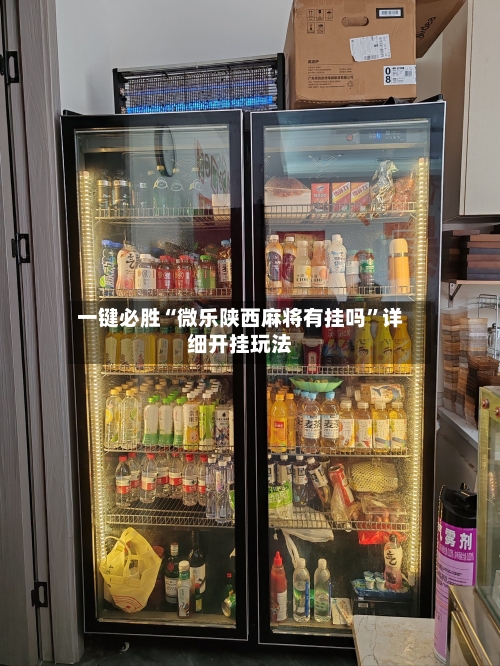 一键必胜“微乐陕西麻将有挂吗”详细开挂玩法-第1张图片