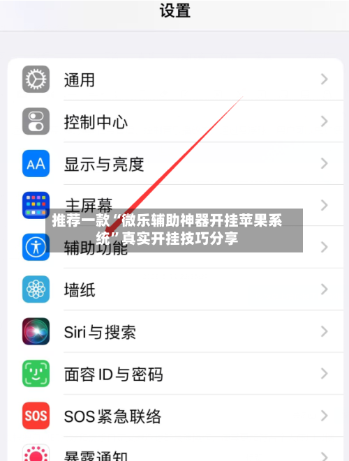 推荐一款“微乐辅助神器开挂苹果系统”真实开挂技巧分享-第1张图片