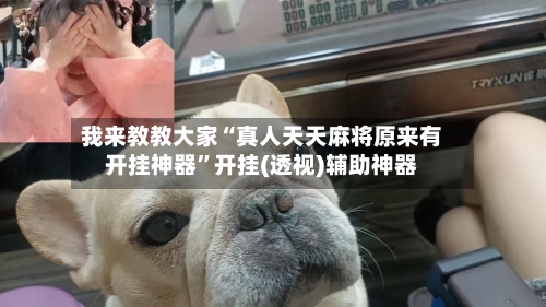 我来教教大家“真人天天麻将原来有开挂神器”开挂(透视)辅助神器-第1张图片