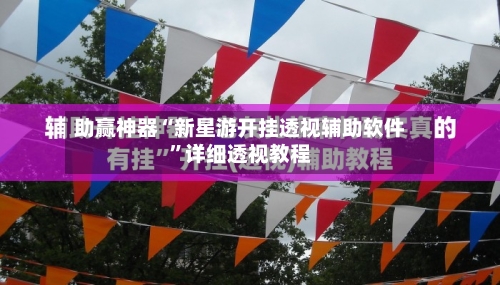 助赢神器“新星游开挂透视辅助软件	”详细透视教程-第1张图片