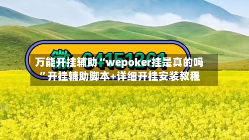 万能开挂辅助“wepoker挂是真的吗”开挂辅助脚本+详细开挂安装教程-第1张图片