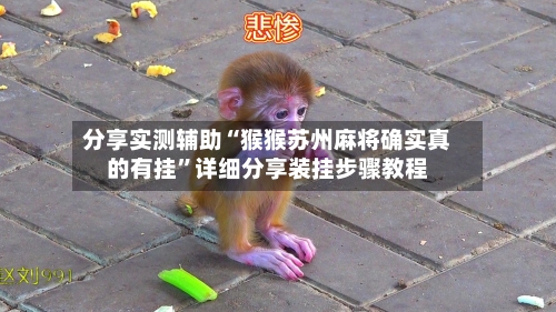 分享实测辅助“猴猴苏州麻将确实真的有挂”详细分享装挂步骤教程-第1张图片