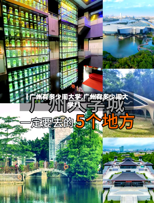 【广州有多少间大学,广州有多少间大学?】-第1张图片
