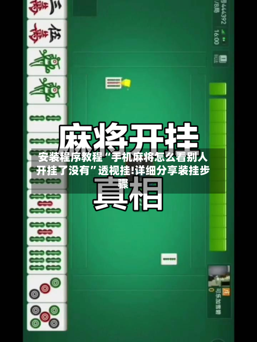 安装程序教程“手机麻将怎么看别人开挂了没有”透视挂!详细分享装挂步骤-第1张图片