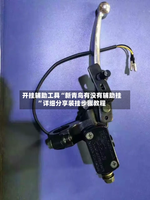 开挂辅助工具“新青鸟有没有辅助挂	”详细分享装挂步骤教程-第1张图片