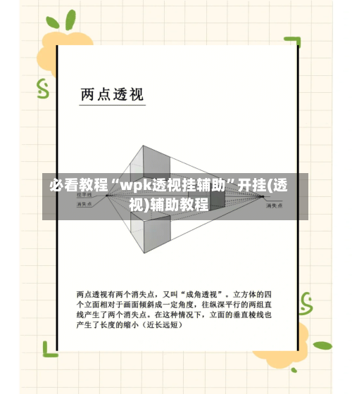 必看教程“wpk透视挂辅助	”开挂(透视)辅助教程-第1张图片