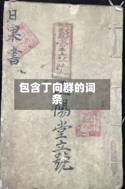 包含丁向群的词条-第1张图片