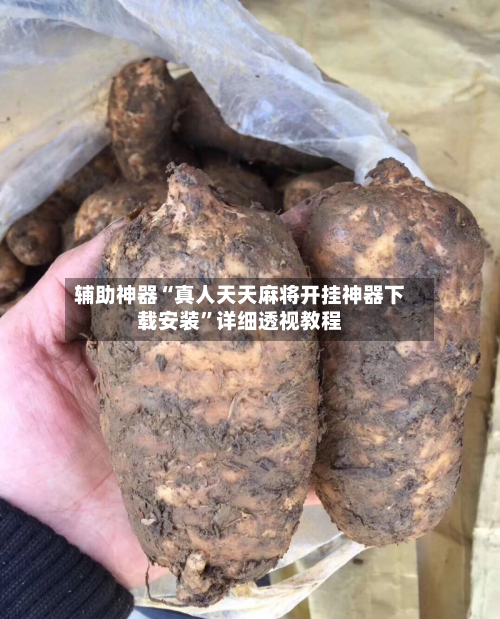 辅助神器“真人天天麻将开挂神器下载安装”详细透视教程-第1张图片