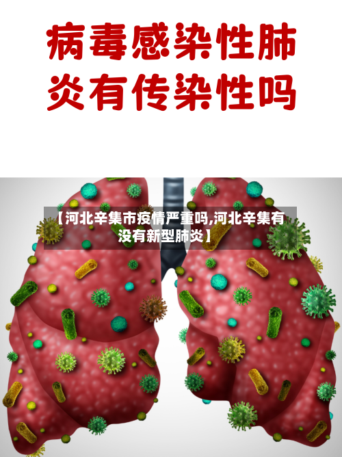 【河北辛集市疫情严重吗,河北辛集有没有新型肺炎】-第1张图片