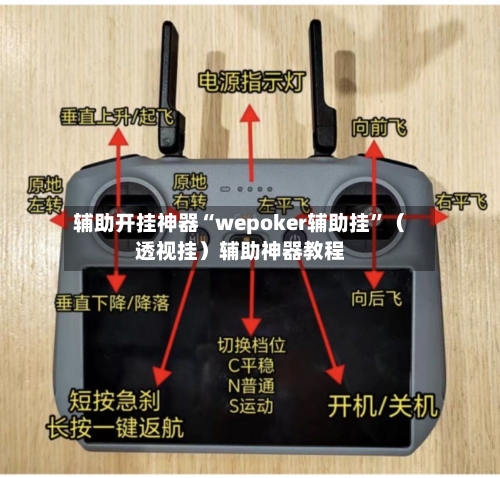 辅助开挂神器“wepoker辅助挂”（透视挂）辅助神器教程-第1张图片