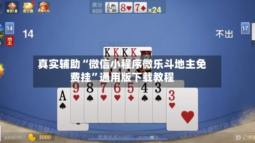 真实辅助“微信小程序微乐斗地主免费挂”通用版下载教程-第1张图片