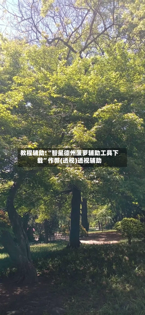 教程辅助!“智星德州菠萝辅助工具下载	”作弊(透视)透视辅助-第1张图片